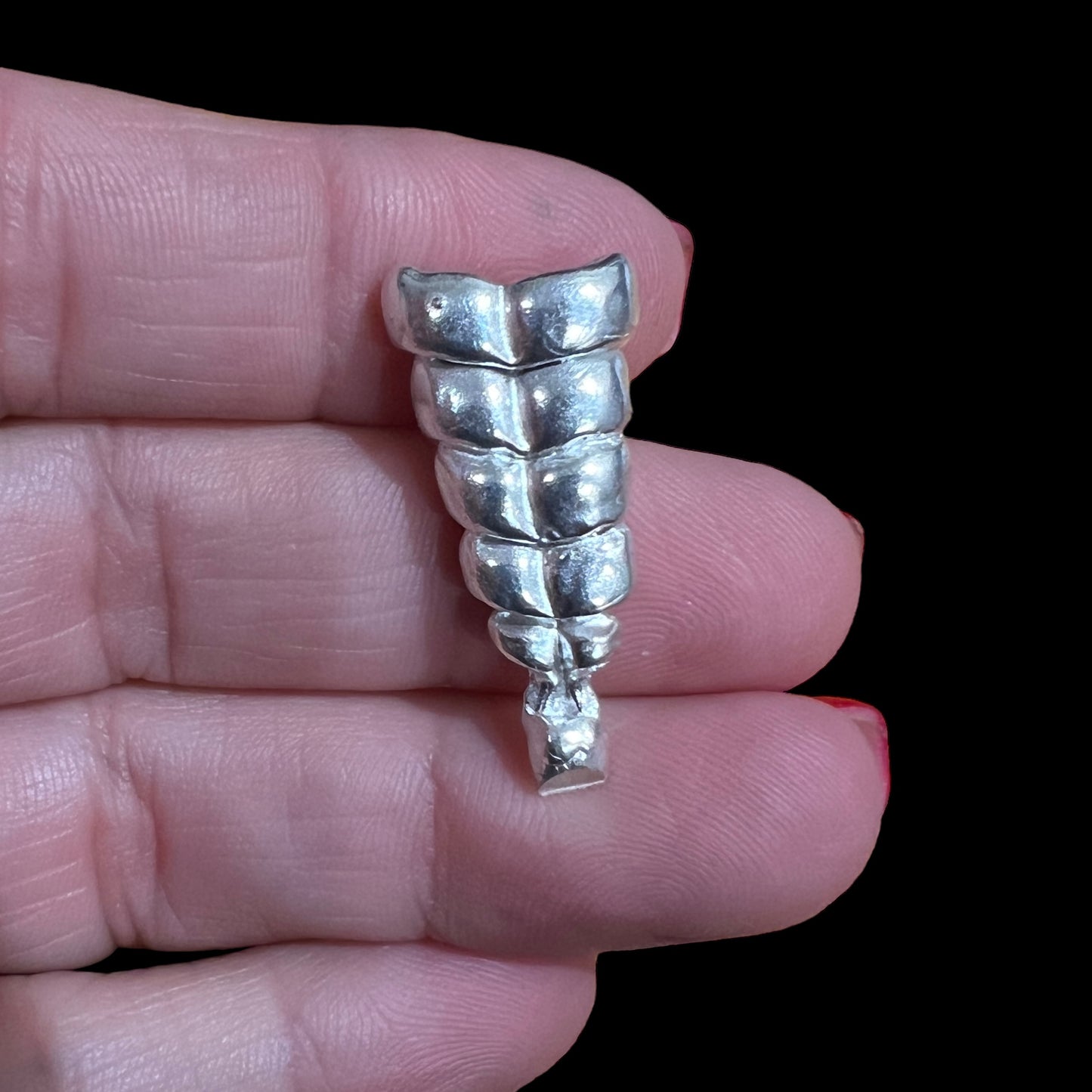 Rattle Snake Rattle cast in Sterling Silver