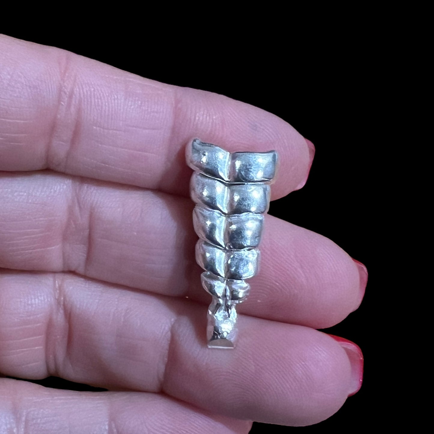 Rattle Snake Rattle cast in Sterling Silver