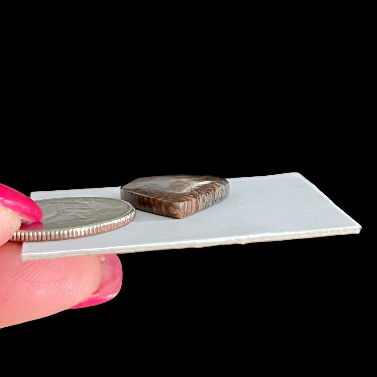 Dinosaur Bone Heart Shaped Cabochon