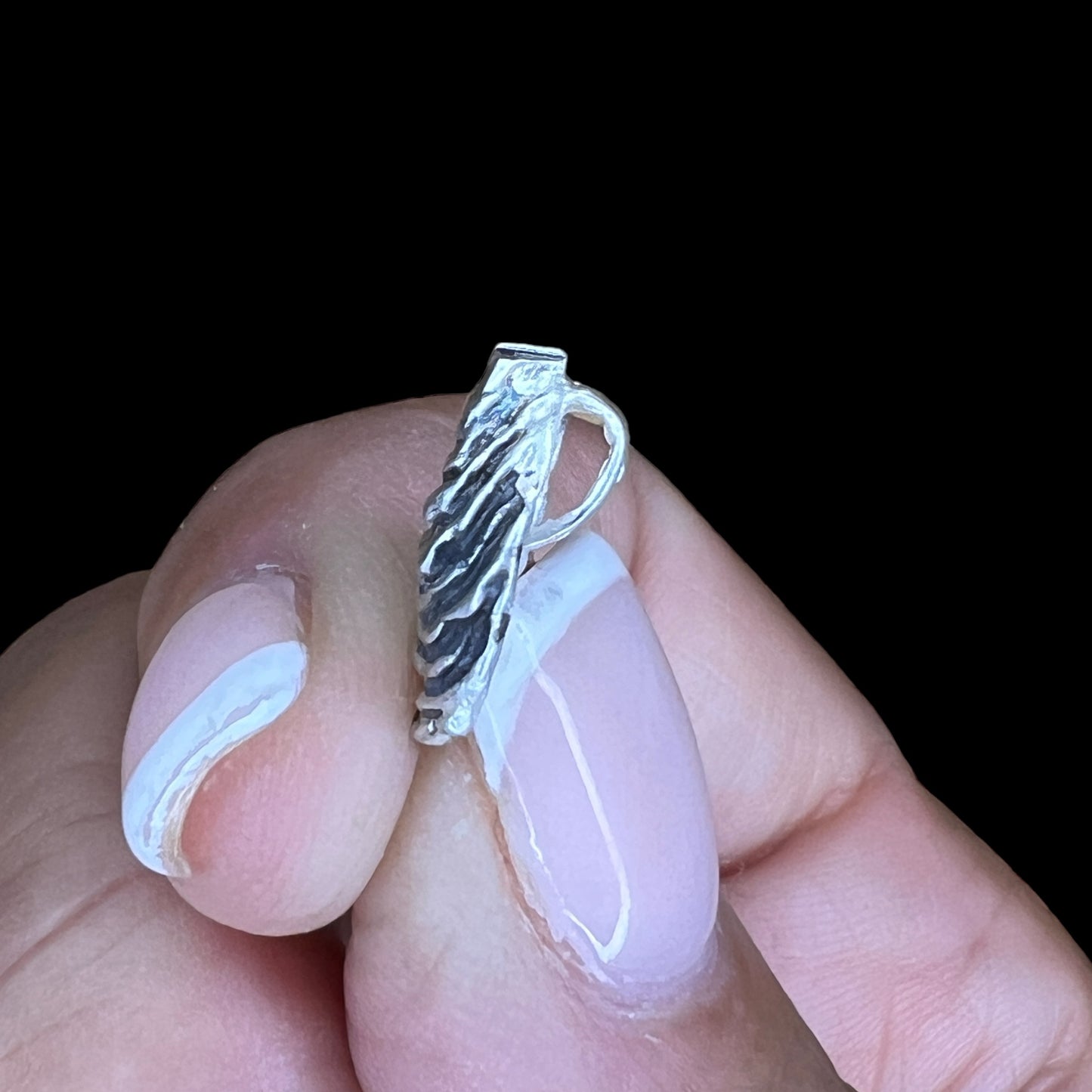 Oyster Shell for jewelry design