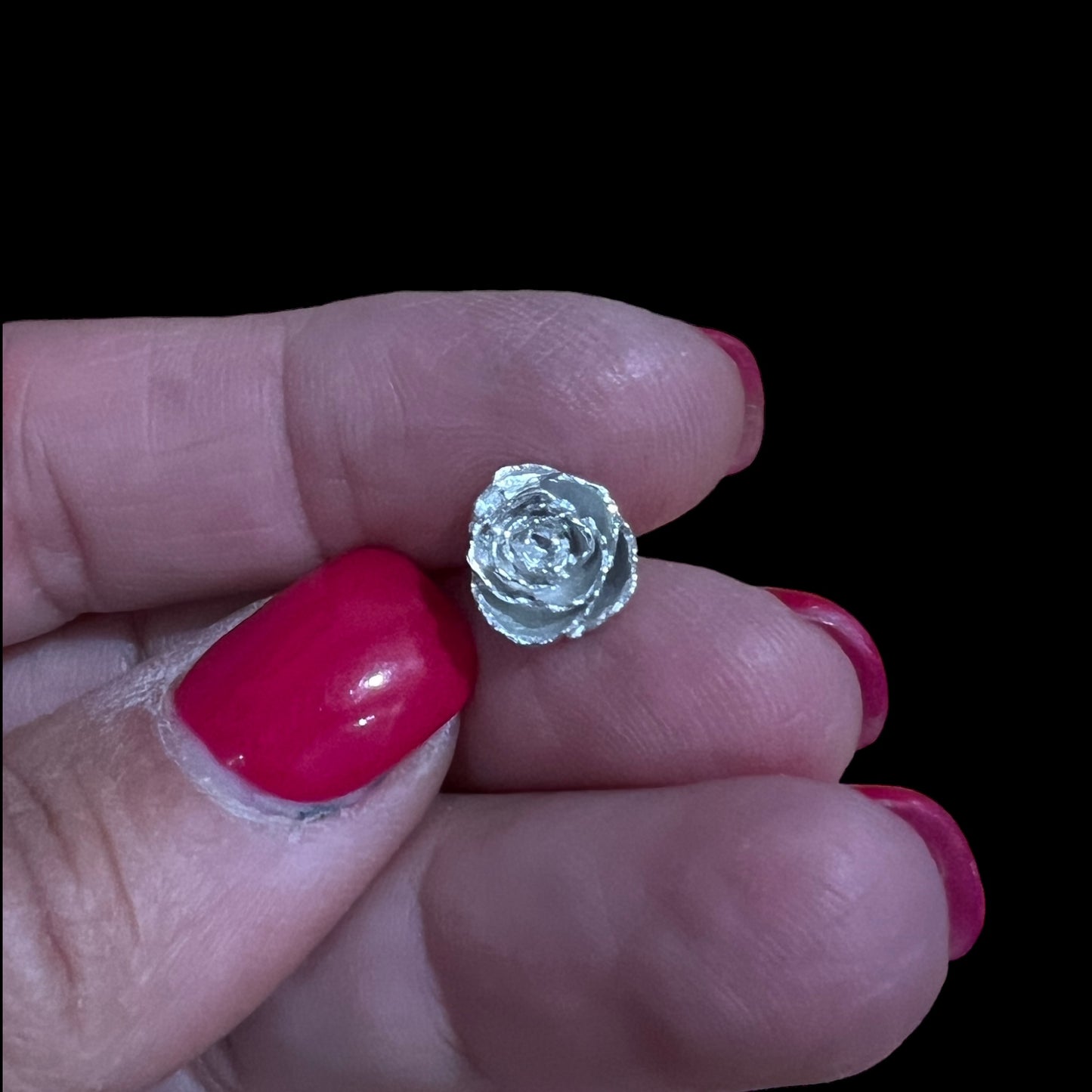 Succulent Flower