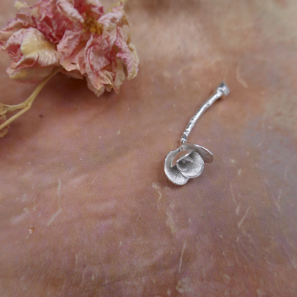 Succulent Tiny Bloom on Vine