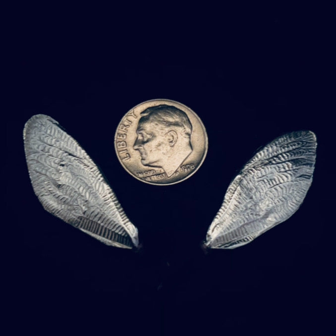 Cicada Wing Casting