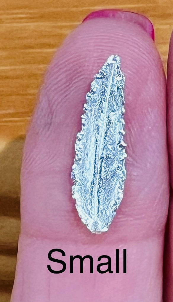 Leaves from the Rowan Tree