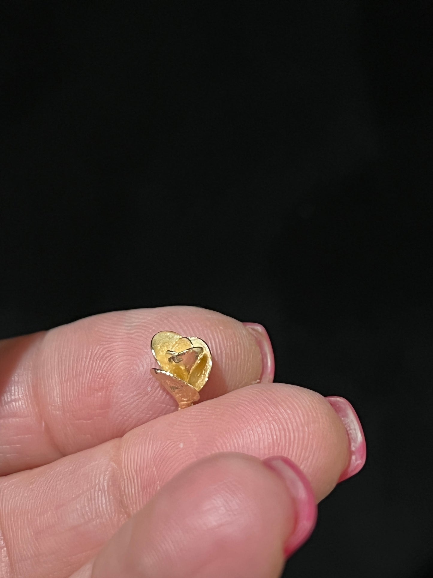 14K Yellow Gold Succulent Flowers