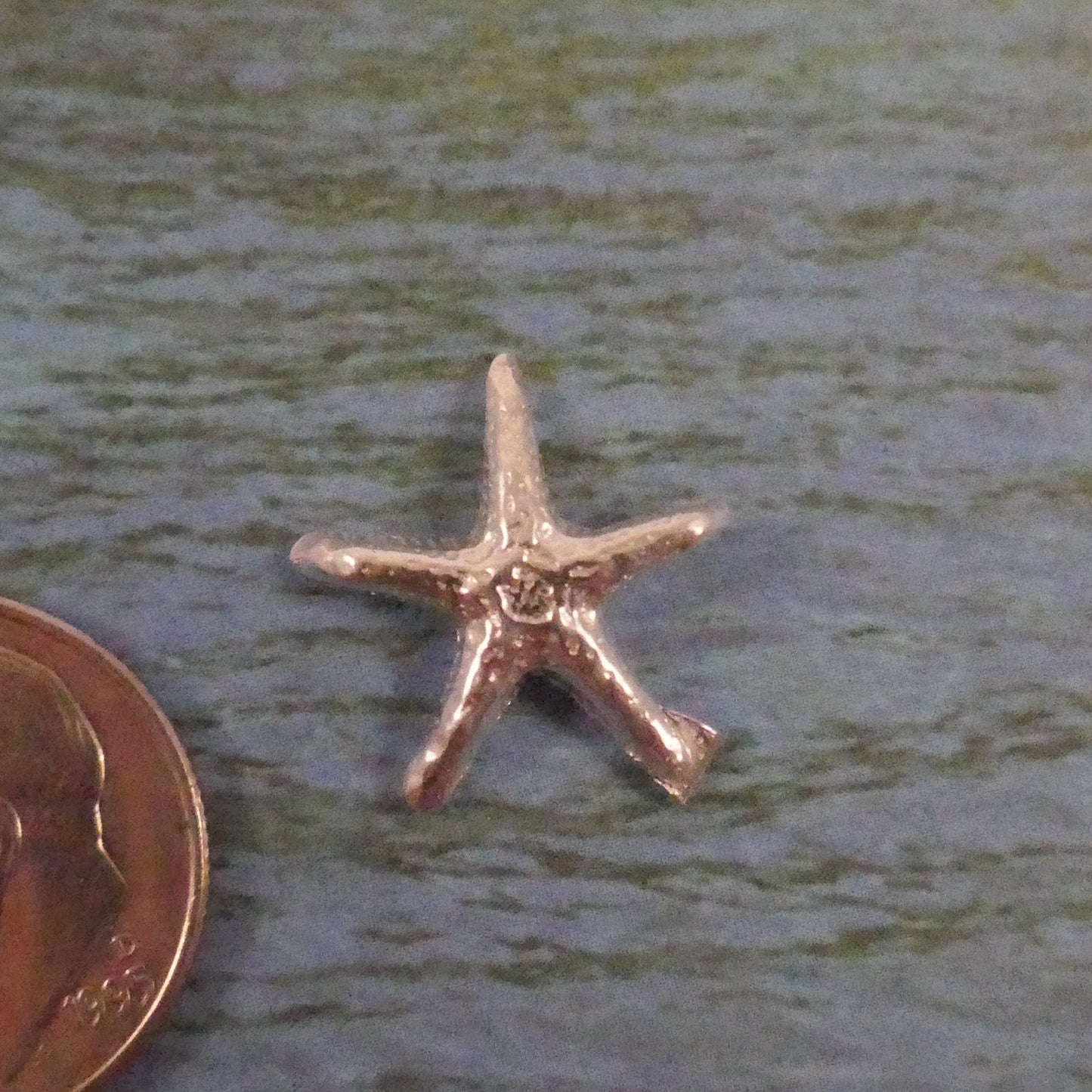 Cast Small Starfish