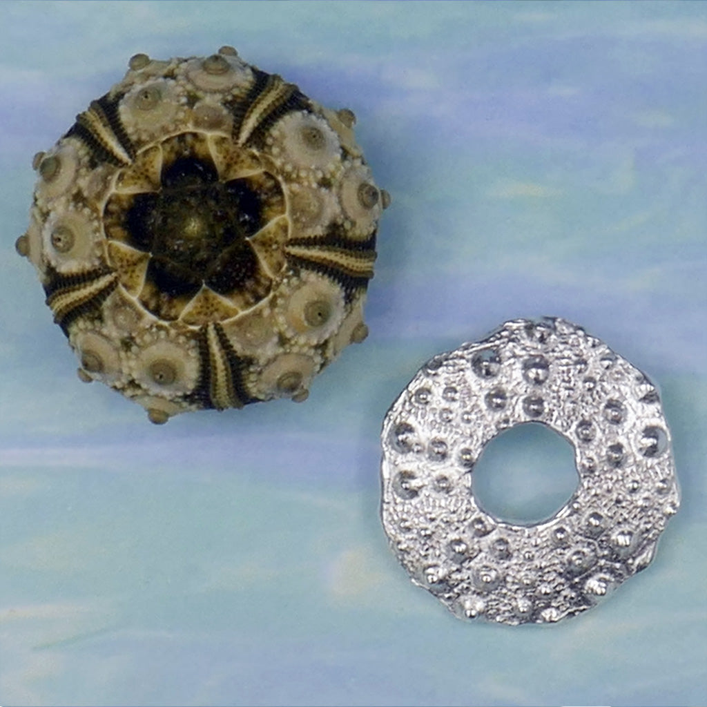 Sea Urchin Link Small