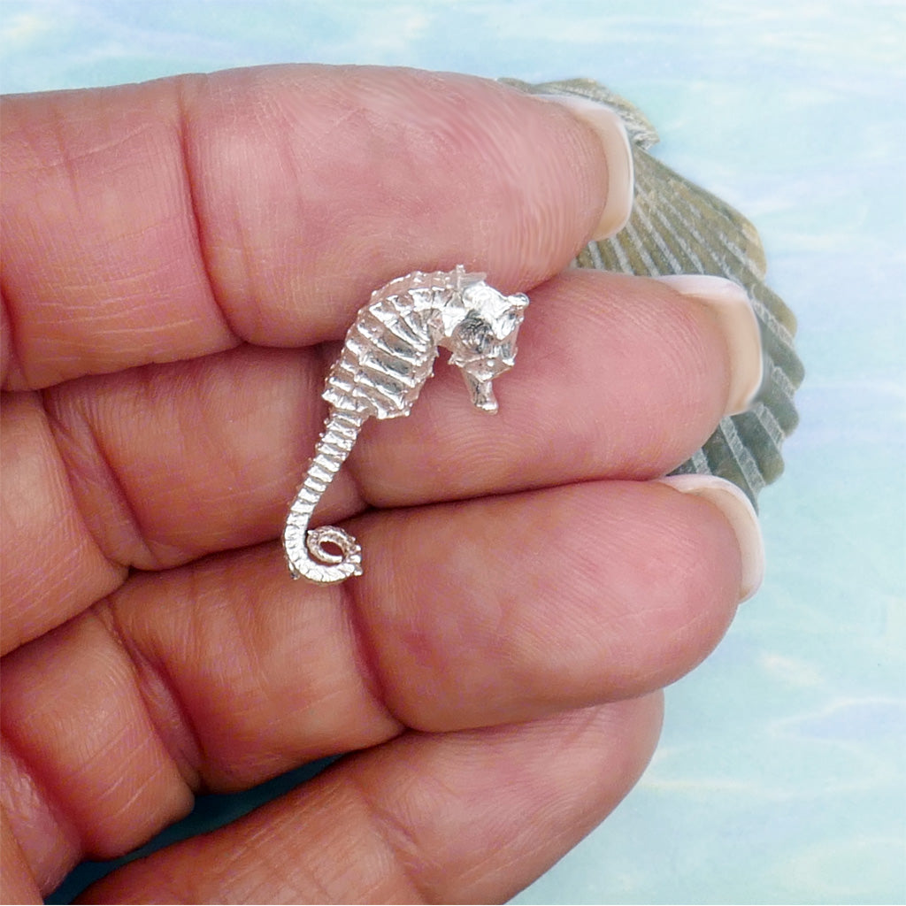 Sea Horse