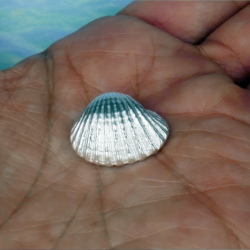 Sea Shell