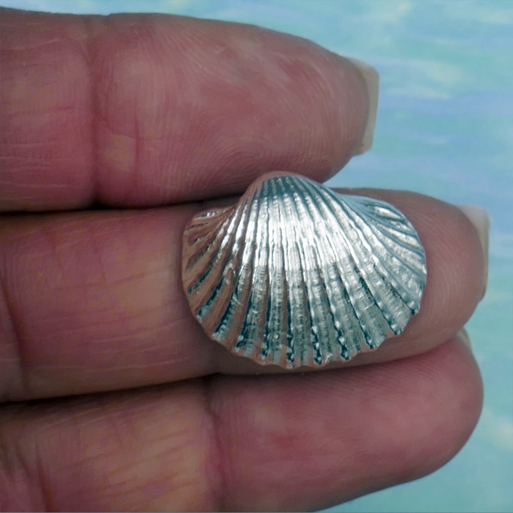 Sea Shell