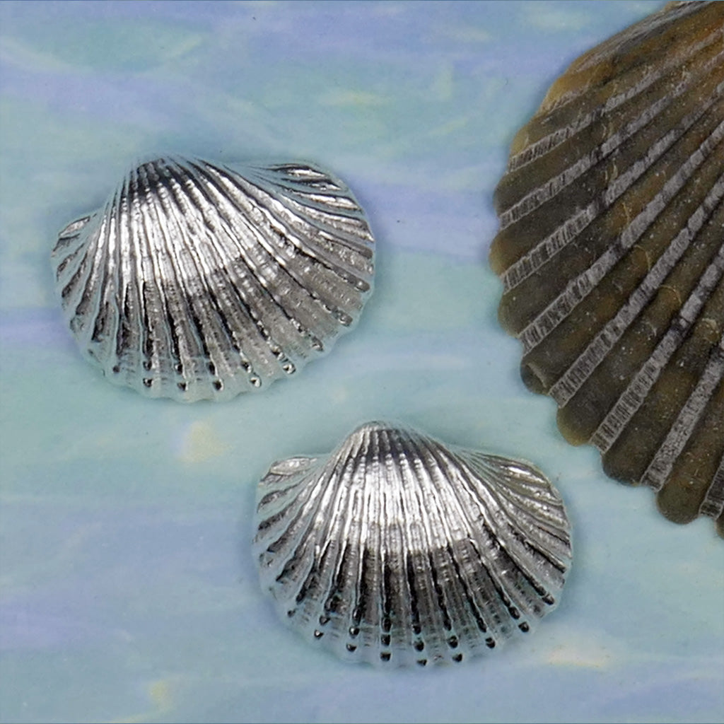 Sea Shell