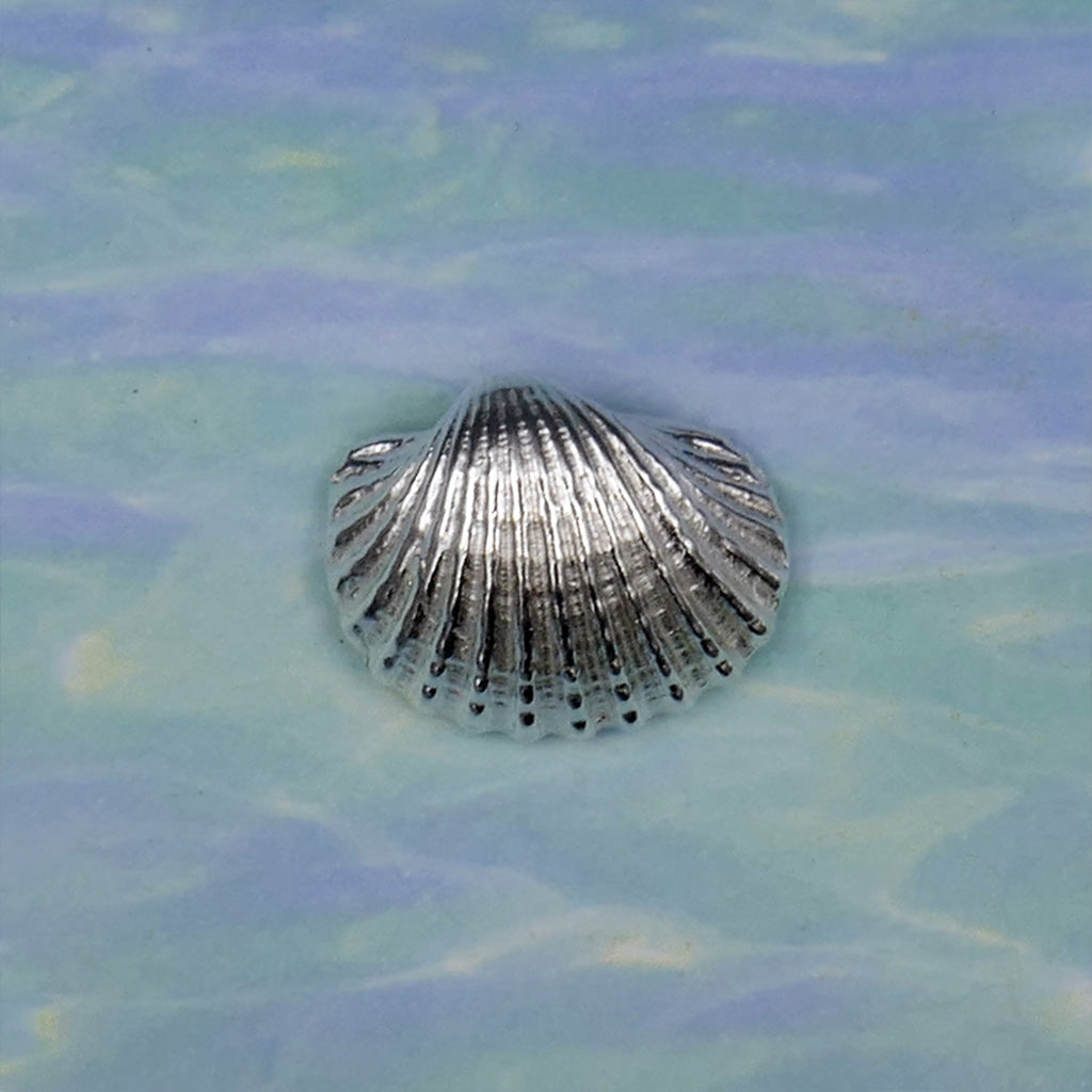 Sea Shell