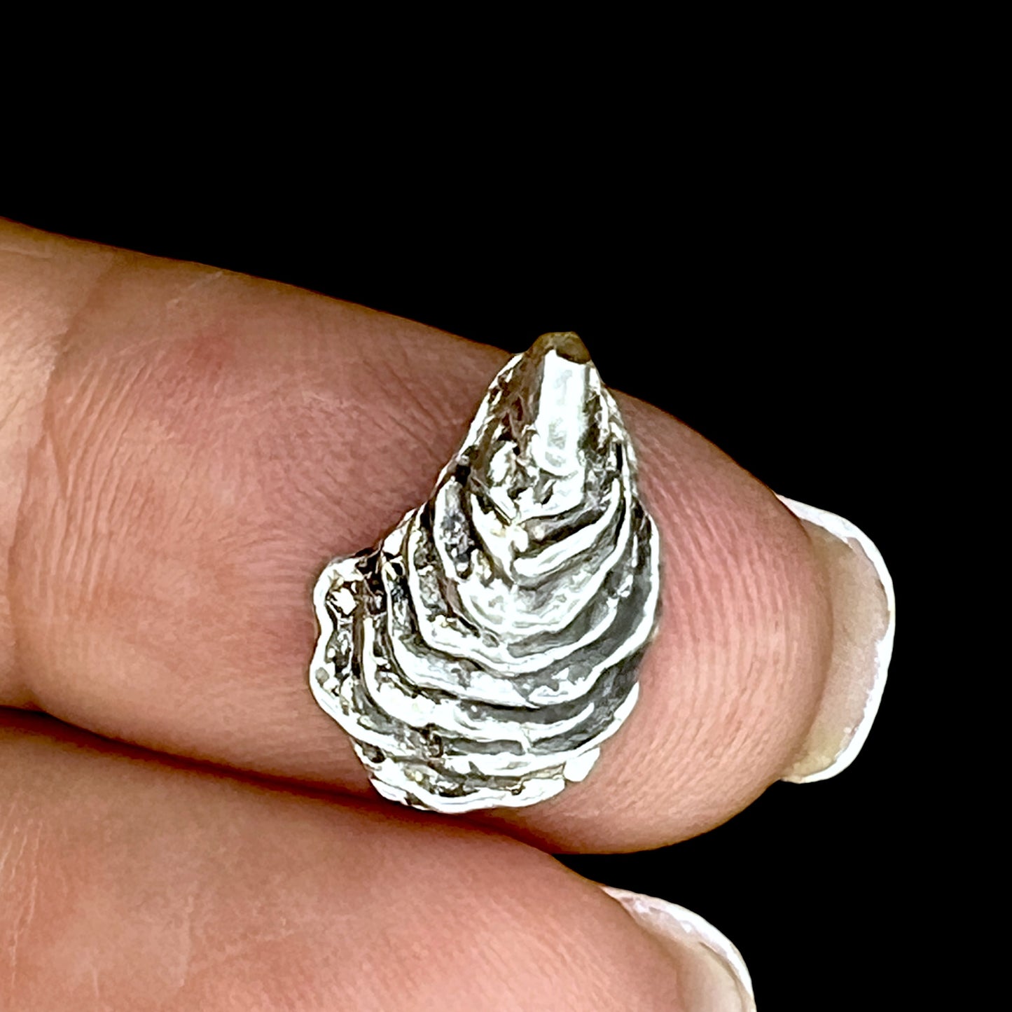 Oyster Shell for jewelry design