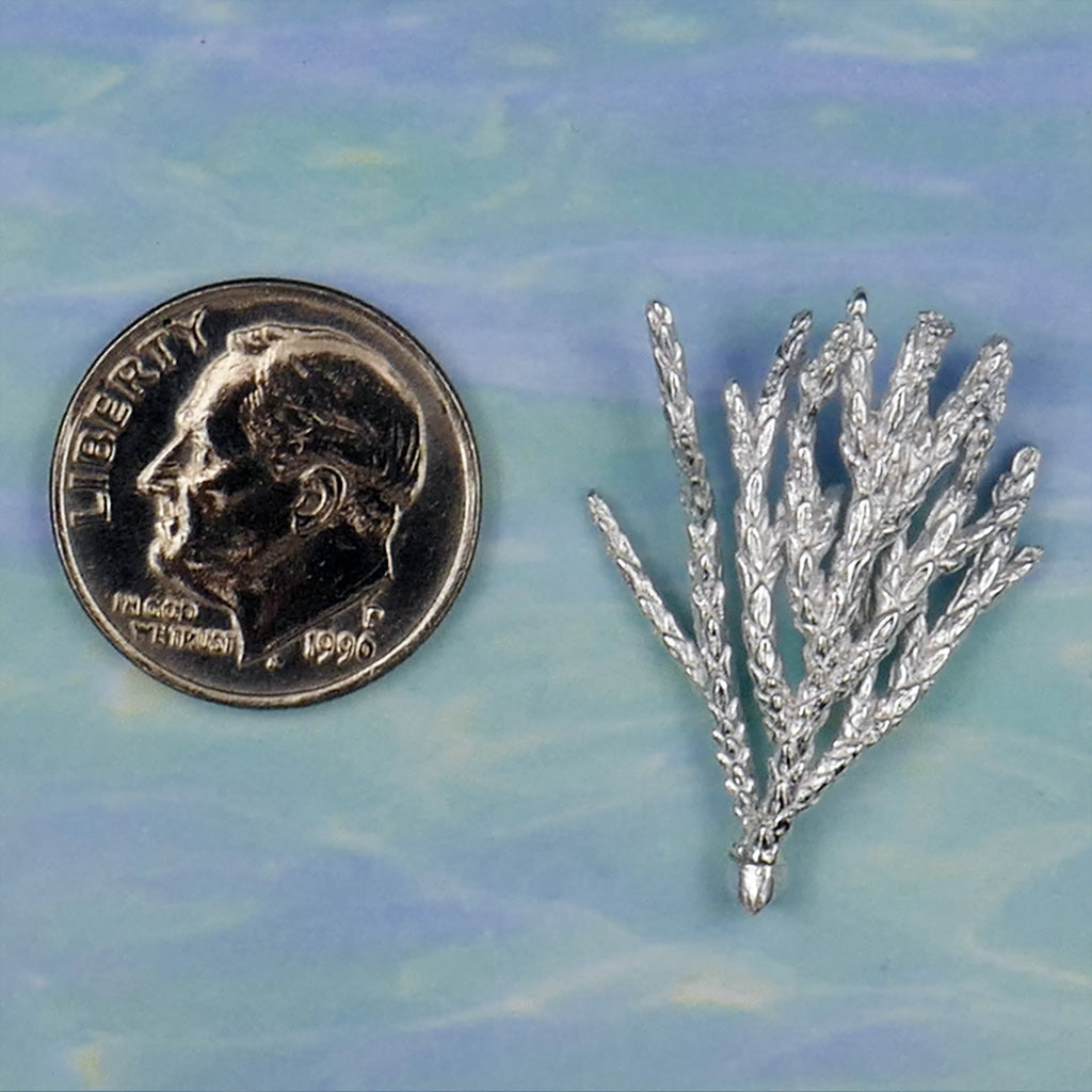 Coral / Juniper Sprig