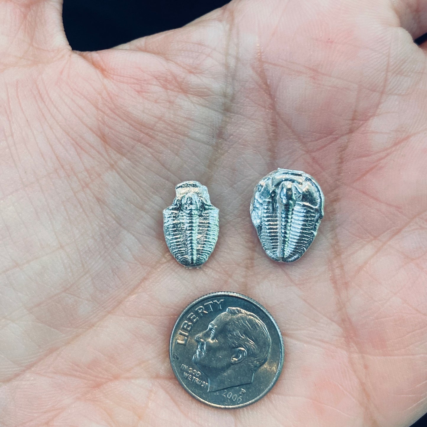 Cast Trilobites for Jewelry Design