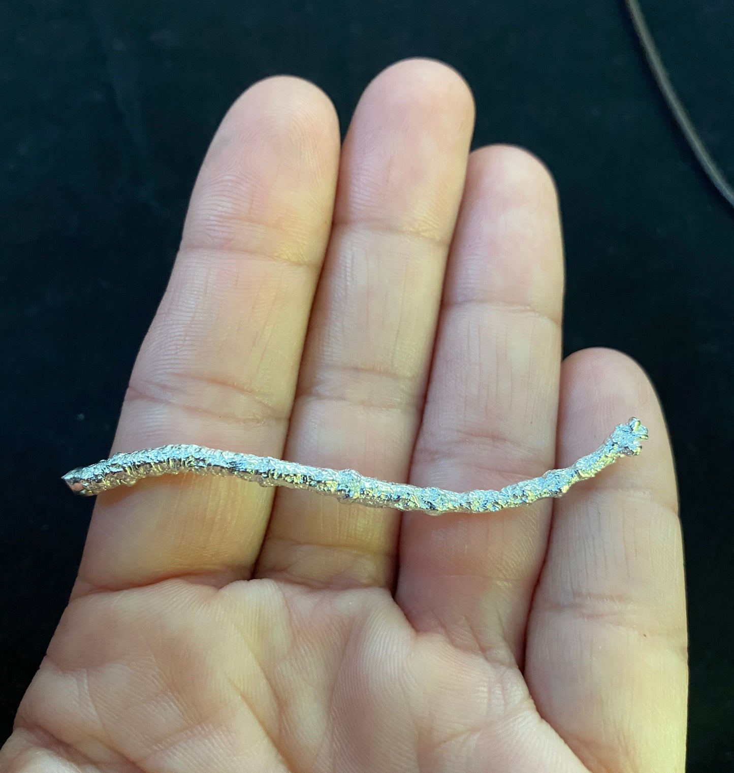 Cast Twig for Jewelry Design