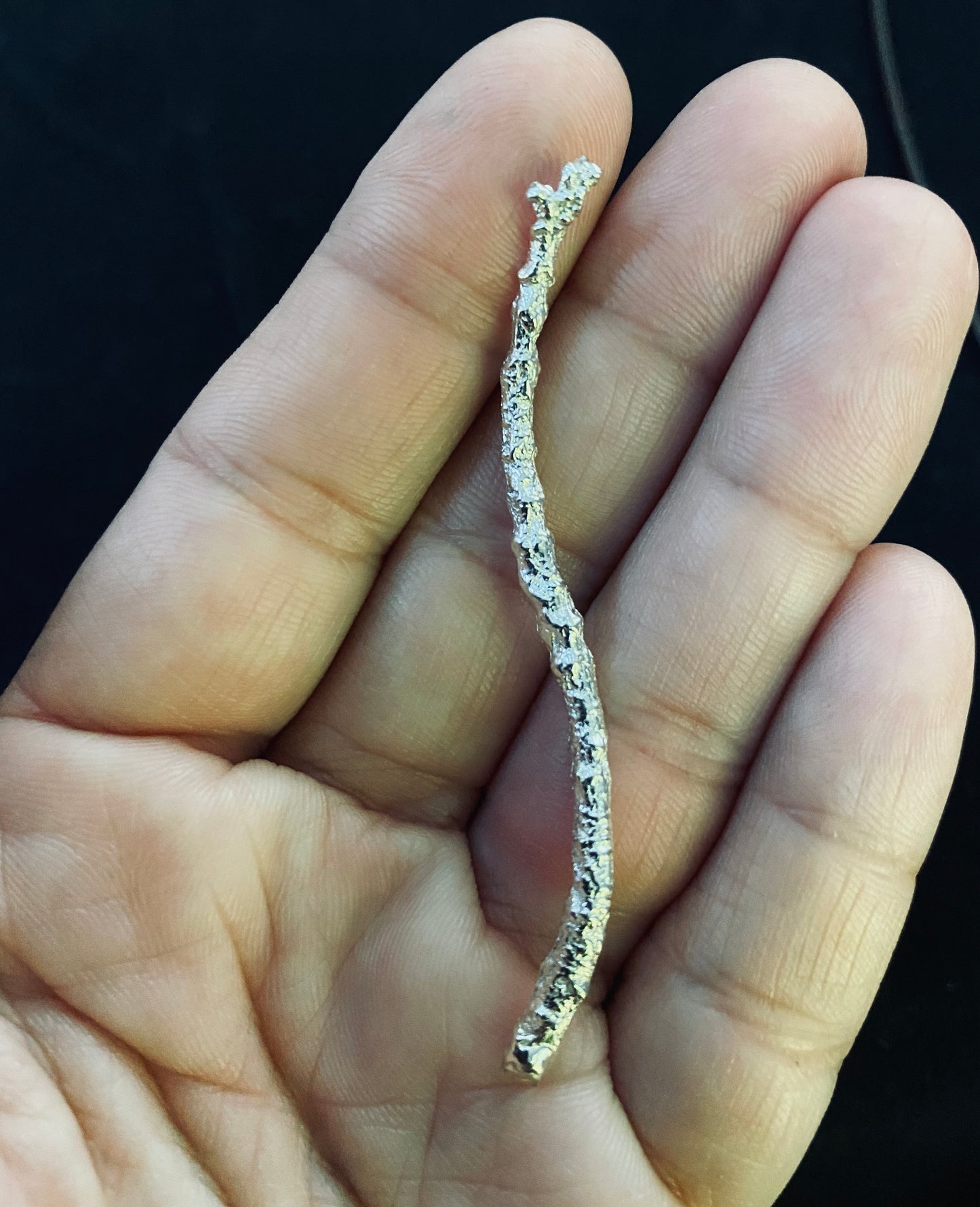 Cast Twig for Jewelry Design