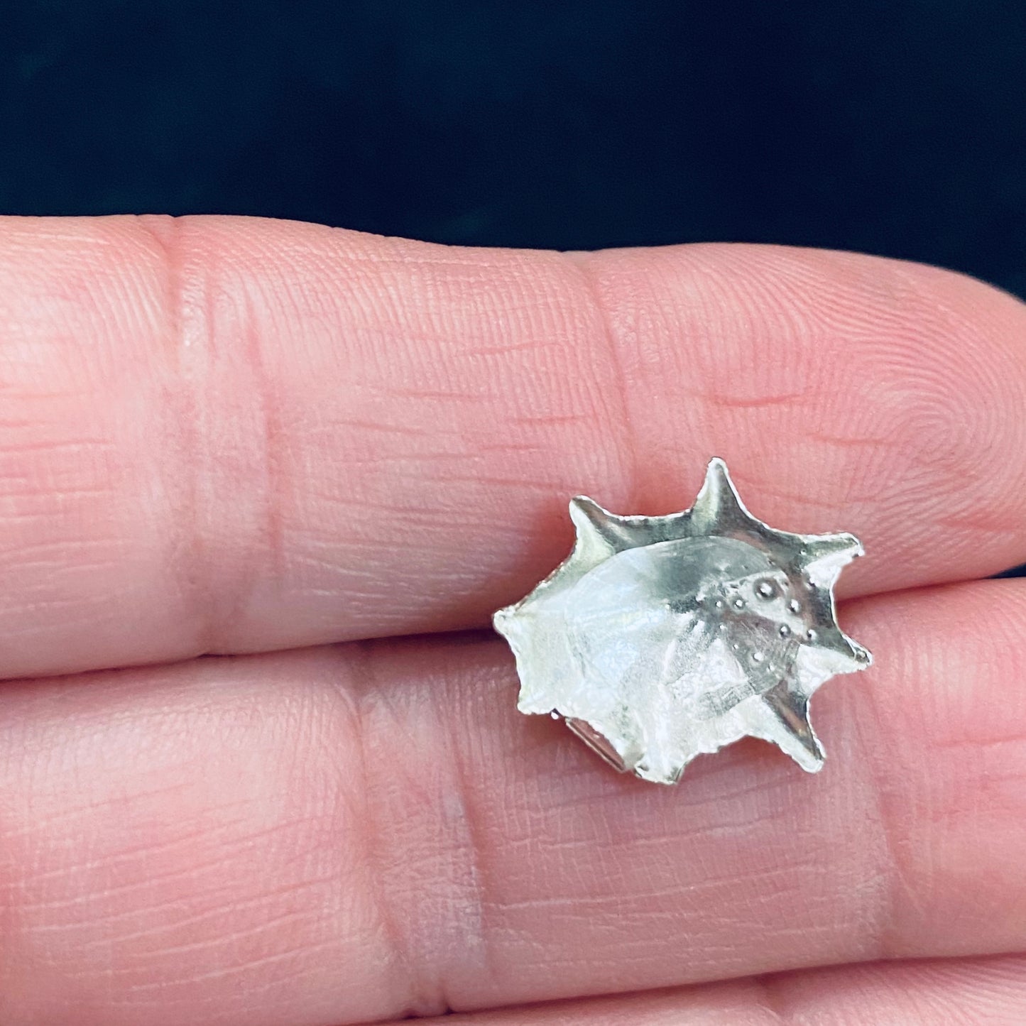 Cast Limpet Sea Shell for Jewelry Design