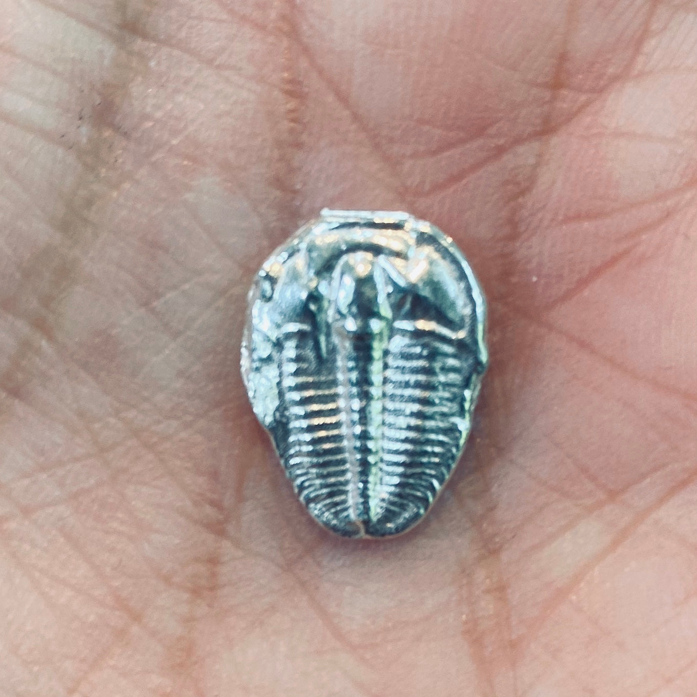 Cast Trilobites for Jewelry Design