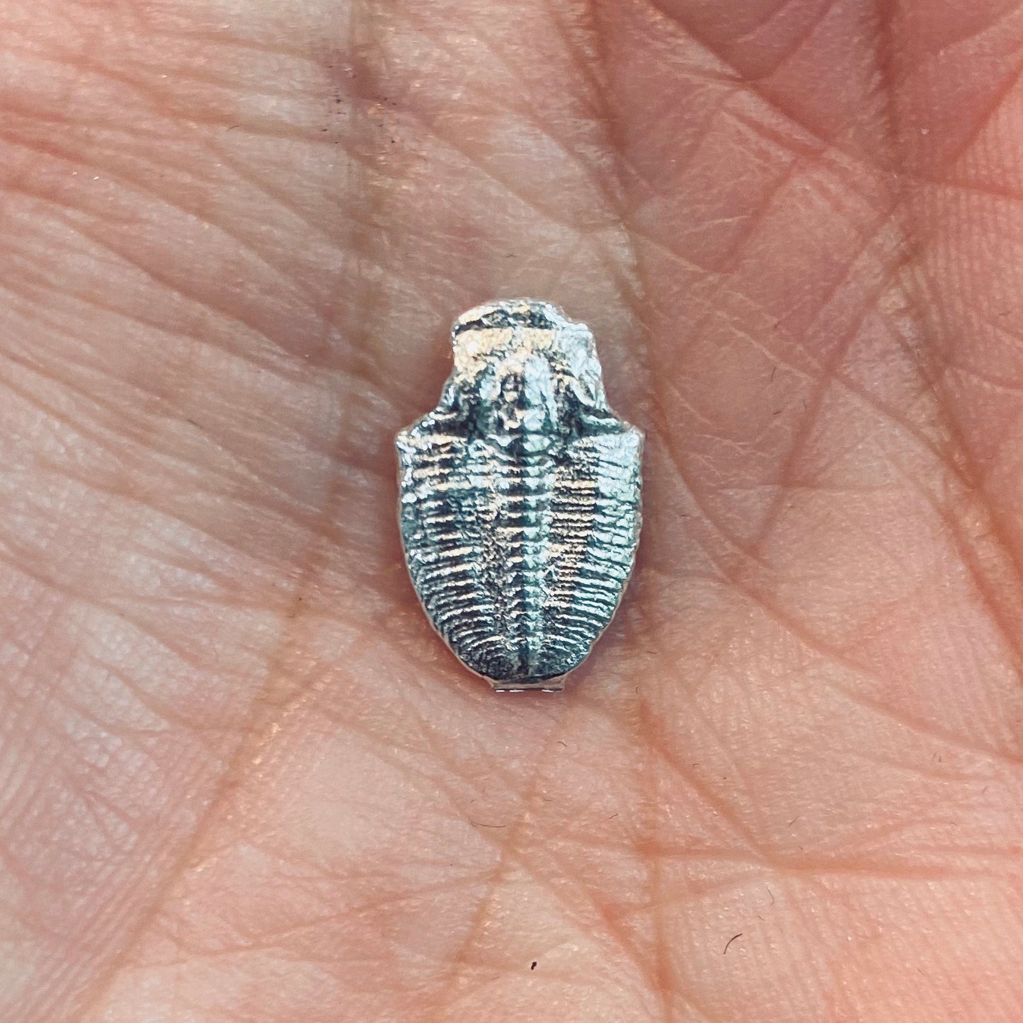 Cast Trilobites for Jewelry Design