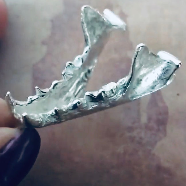 Cast Jaw Bone for Jewelry Design