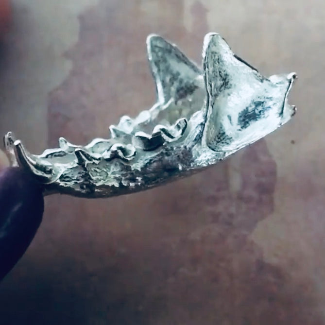 Cast Jaw Bone for Jewelry Design