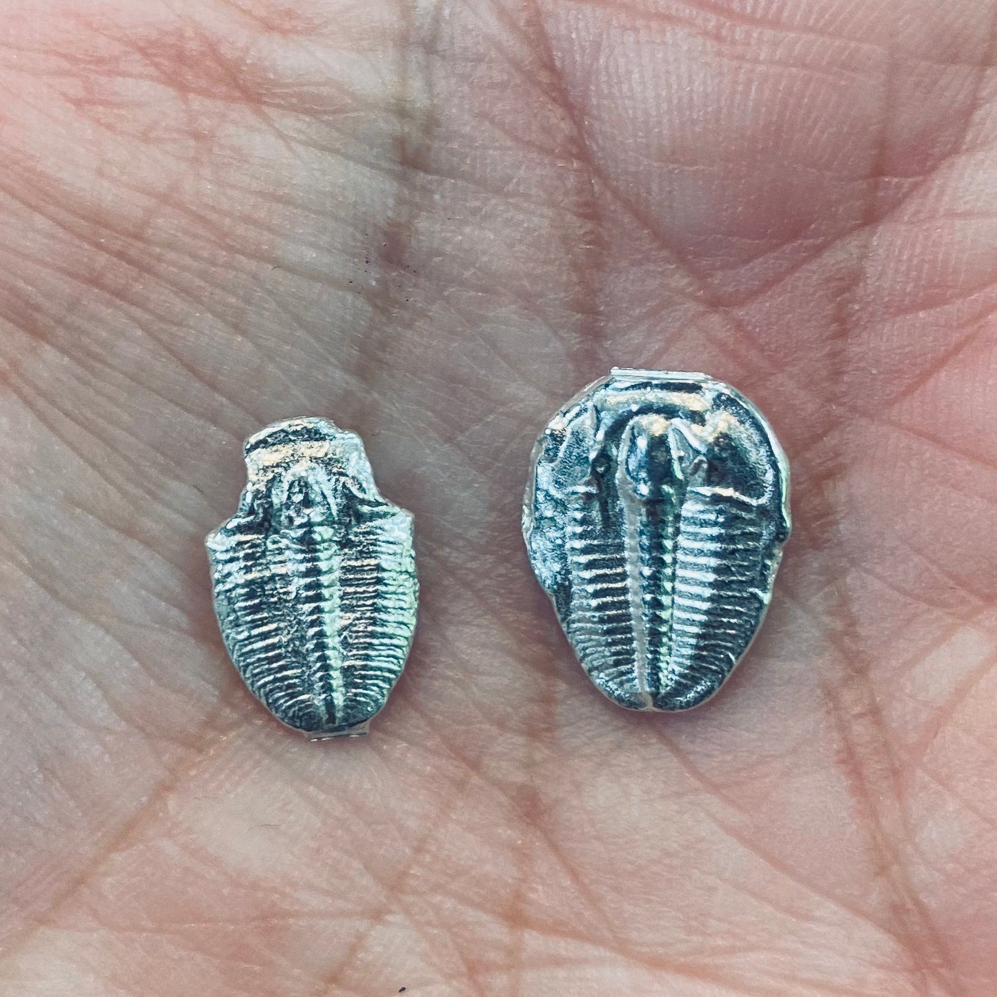 Cast Trilobites for Jewelry Design