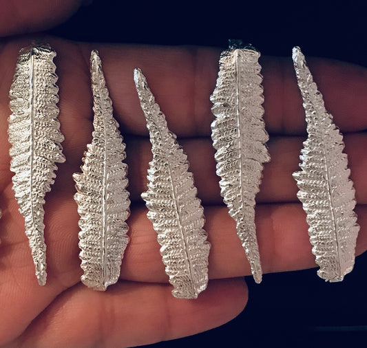 Cast Fern Leaves for Jewelry Design