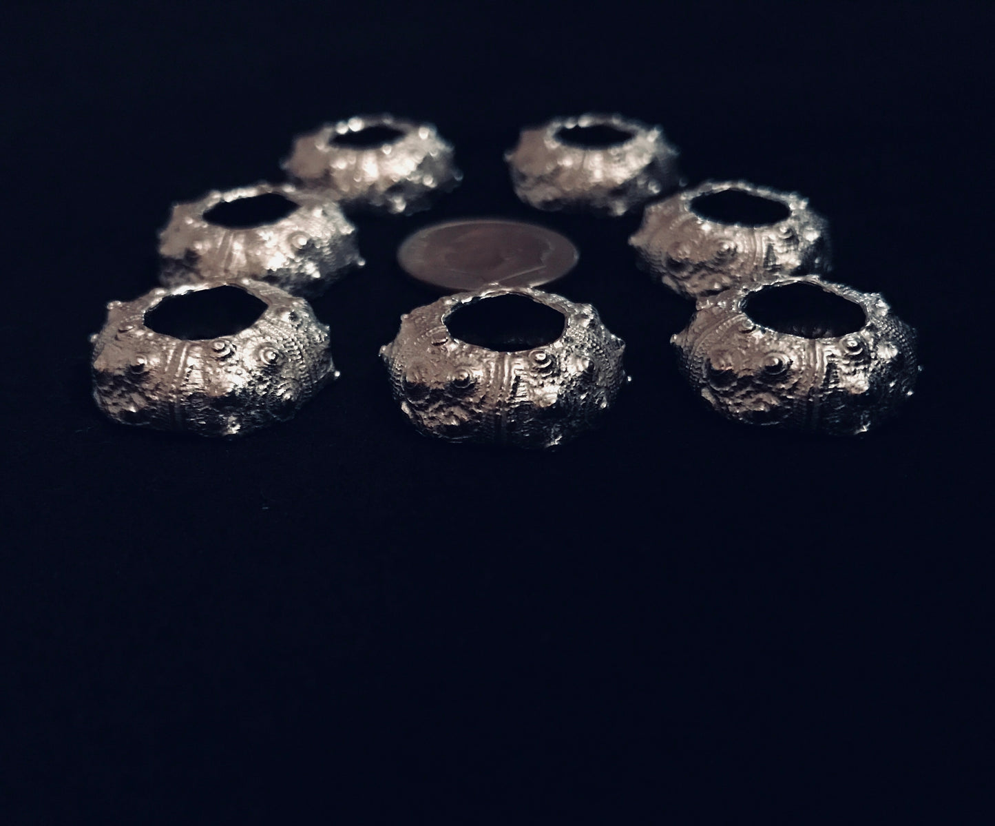 Cast Sea Urchin Half for Jewelry Design
