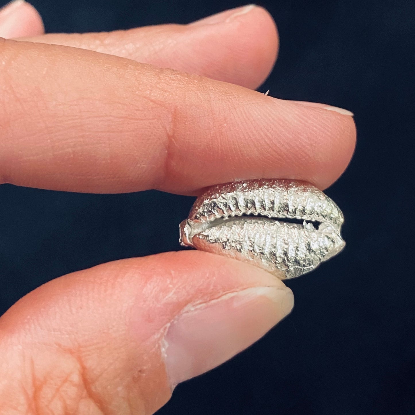 Cast Cowrie Shell for Jewelry Design