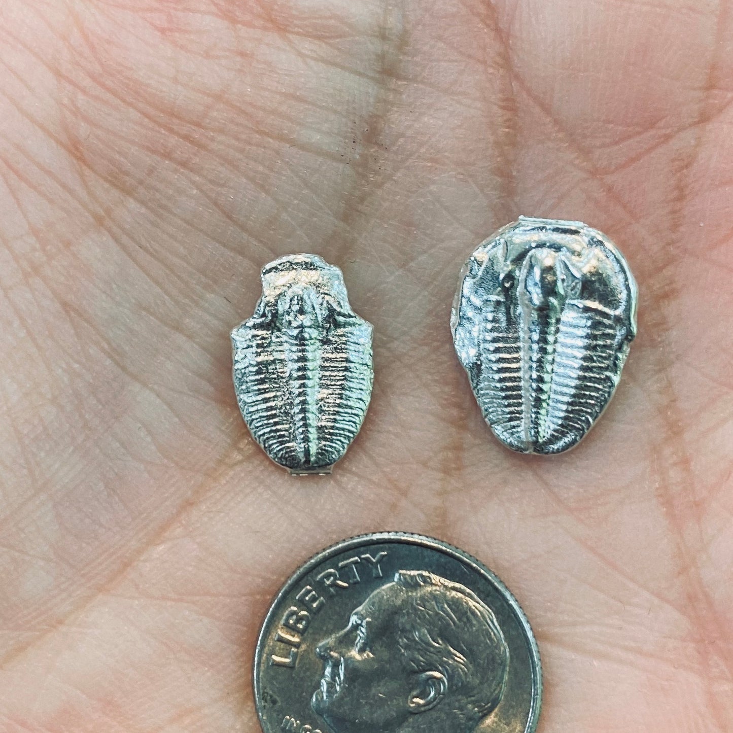 Cast Trilobites for Jewelry Design