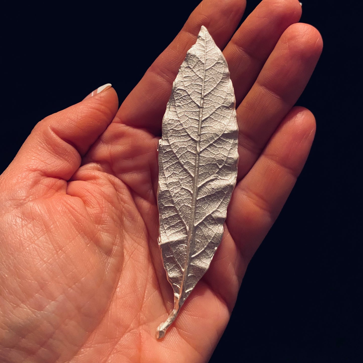 Large Leaf Casting for Jewelry Design