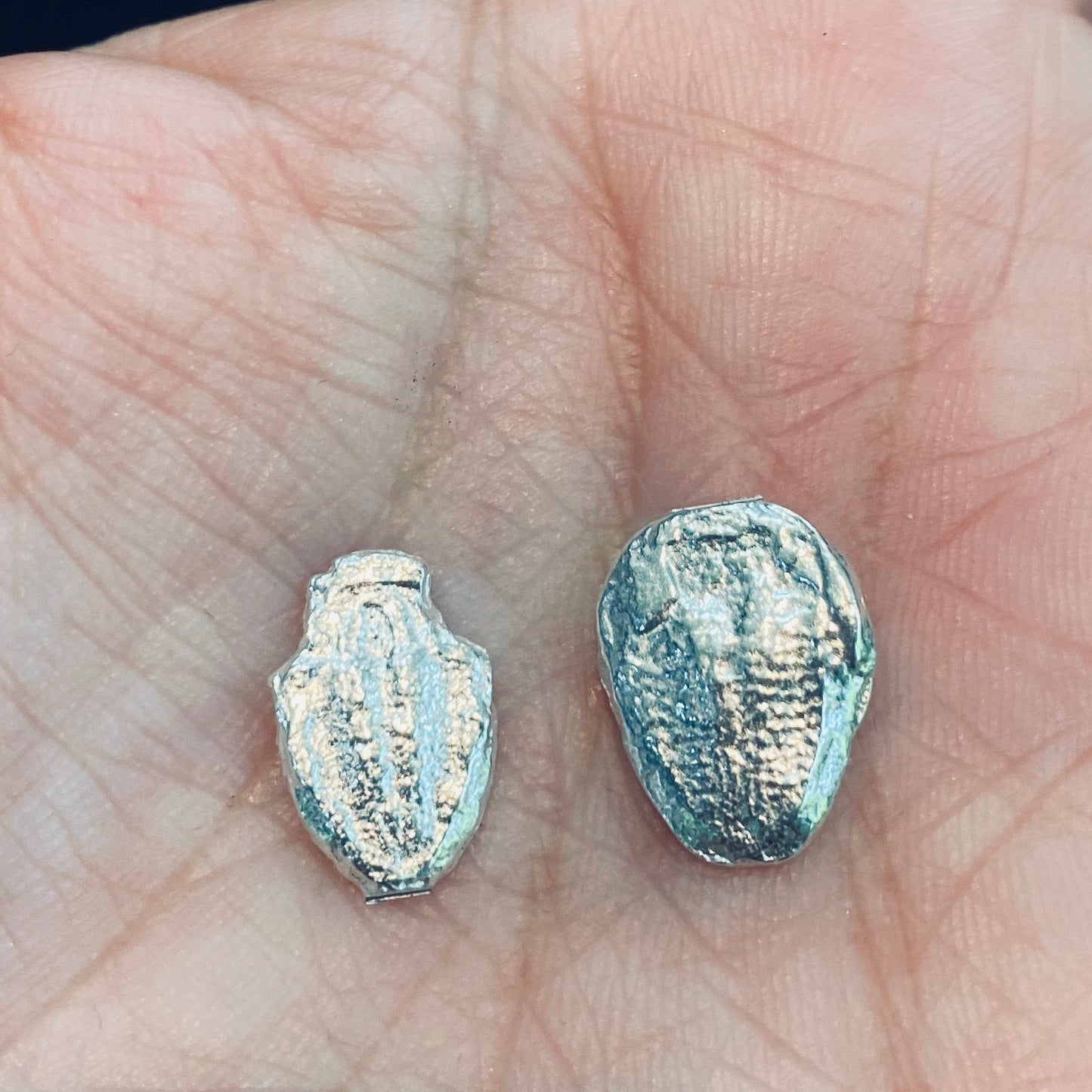 Cast Trilobites for Jewelry Design