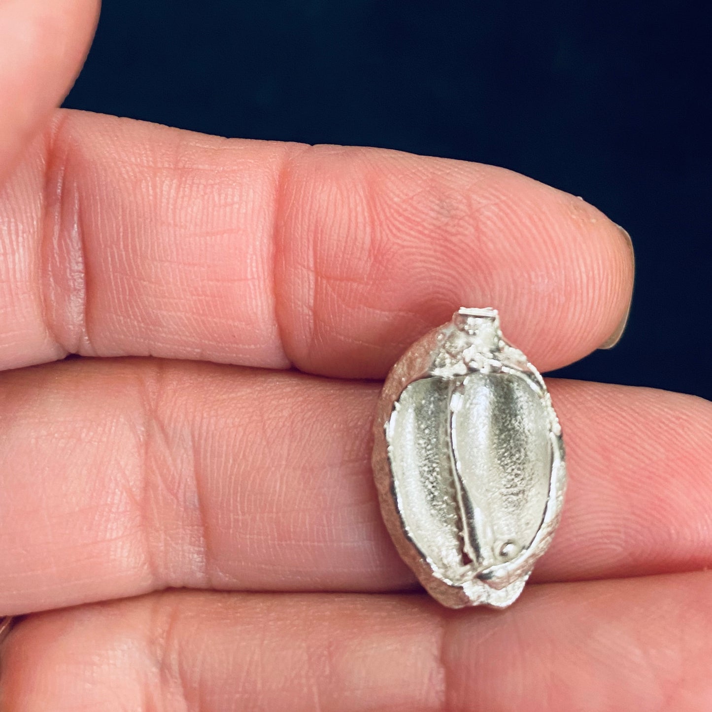 Cast Cowrie Shell for Jewelry Design