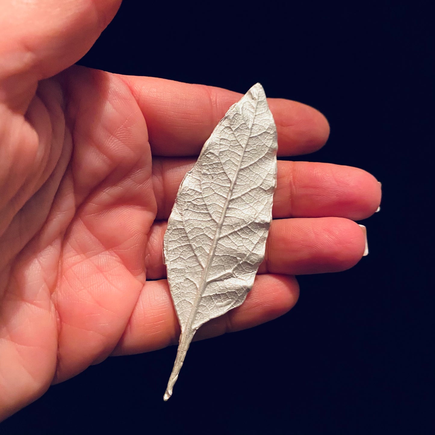 Leaf Casting for Jewelry Design