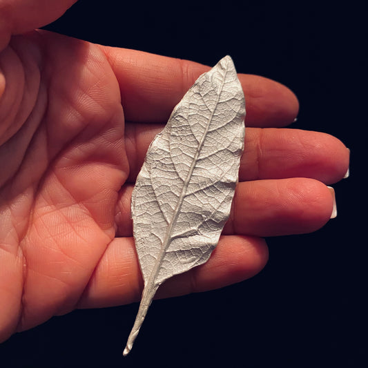Leaf Casting for Jewelry Design