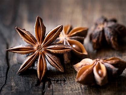 Cast Anise Star for Jewelry Design