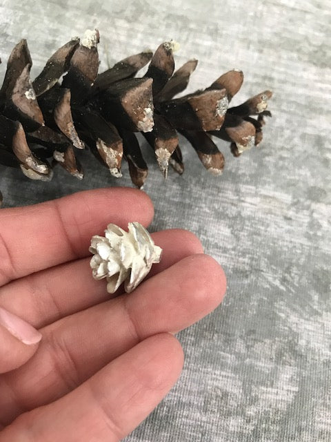 Cast Organic Pinecone