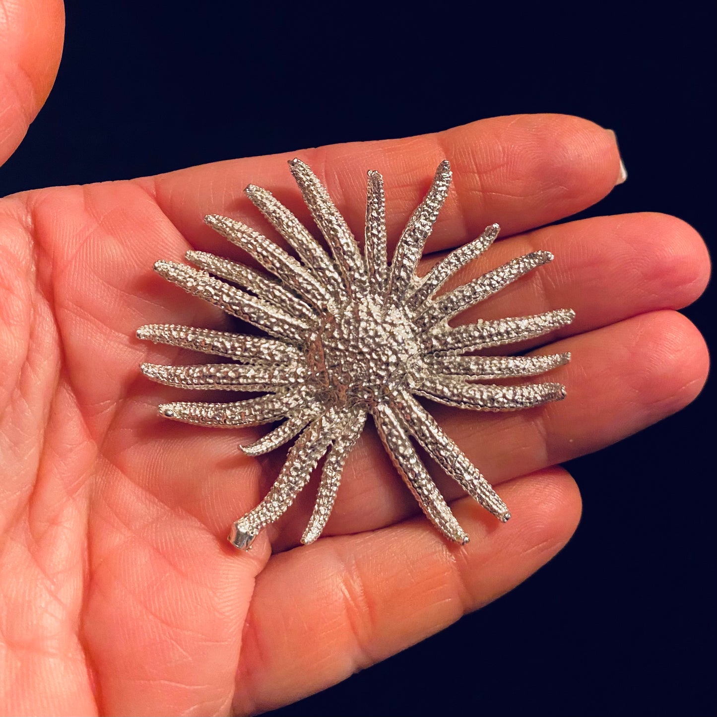 Sunflower Sea Star Casting for Jewelry Design