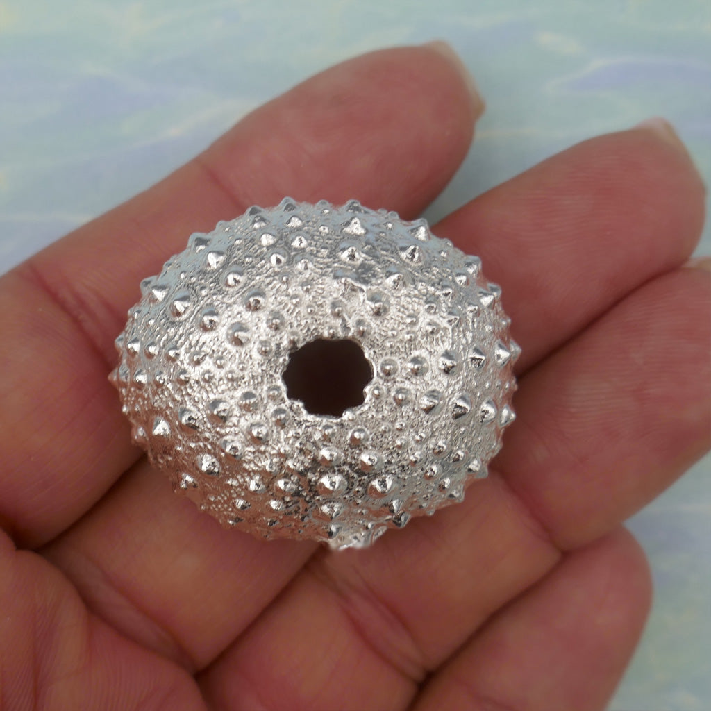 Sea Urchin Large