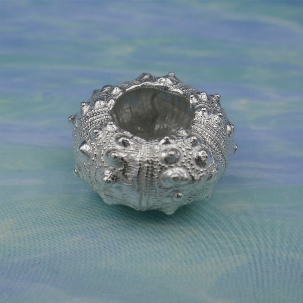 Sea Urchin Medium
