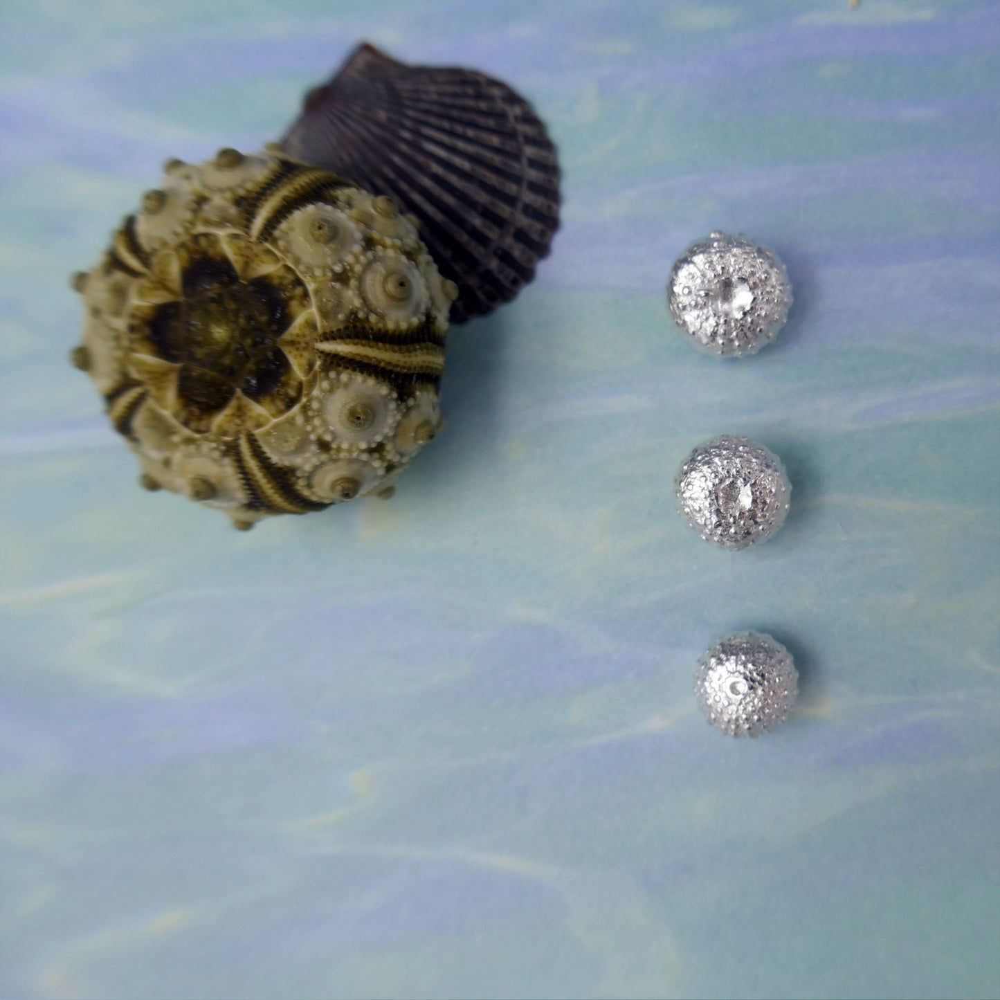 Sea Urchin Mini's in 2 sizes