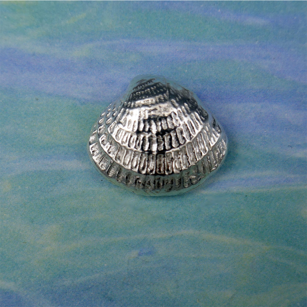 Sea Shell