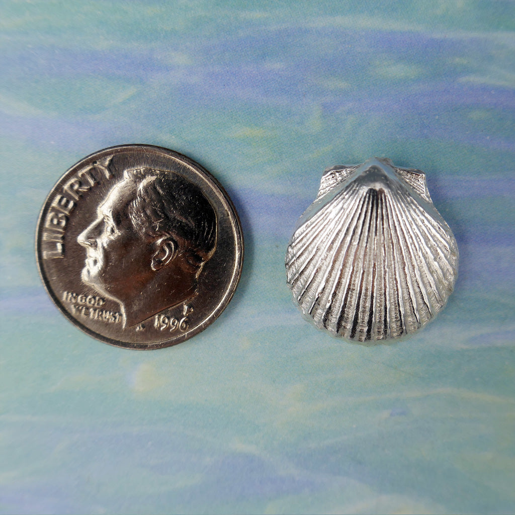 Sea Shell Scalloped