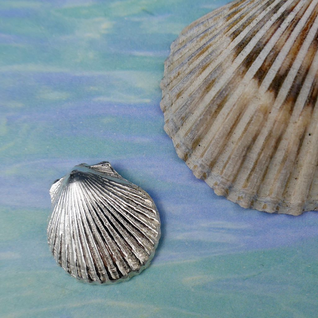 Sea Shell Scalloped