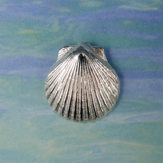 Sea Shell Scalloped