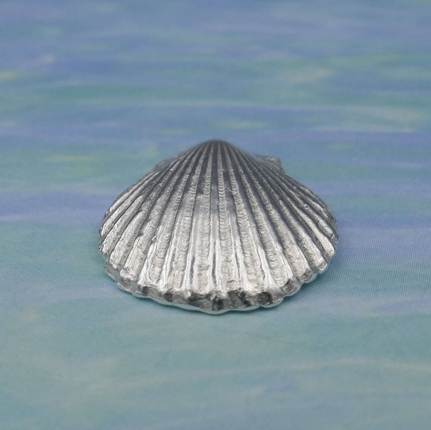 Sea Shell Scalloped