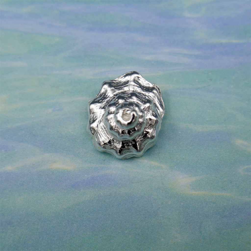 Sea Shell Spiral