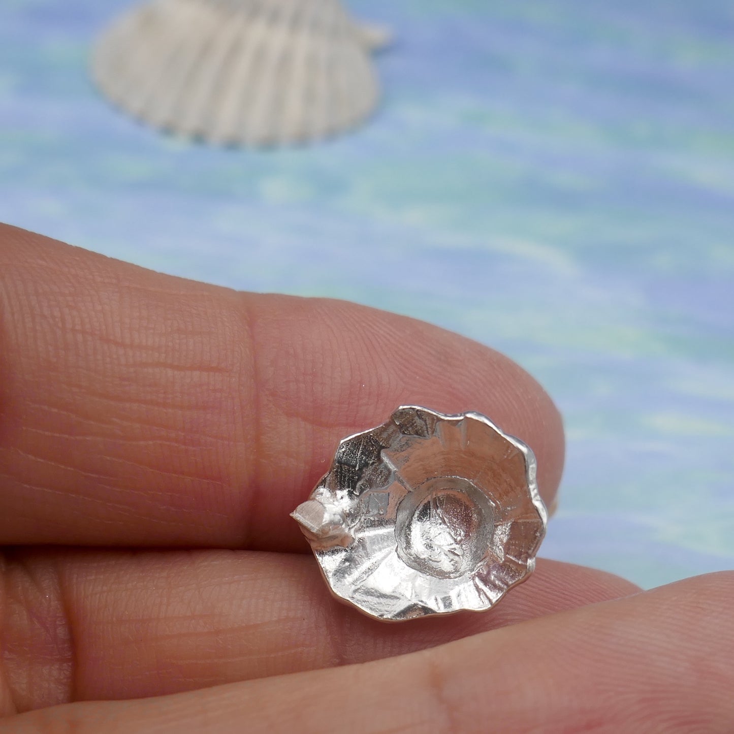 Sea Shell Spiral