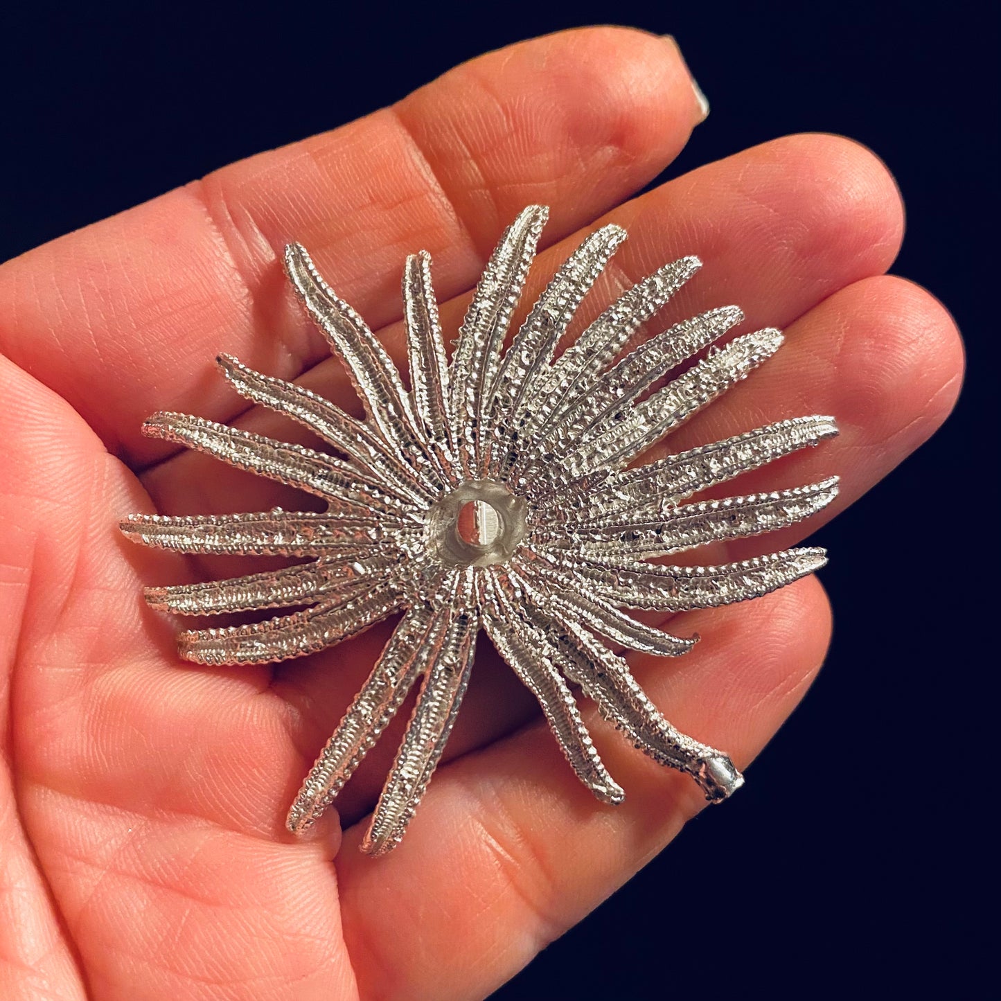 Sunflower Sea Star Casting for Jewelry Design